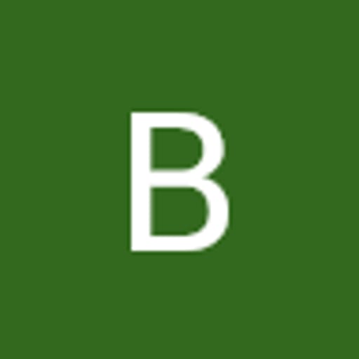 borjarobles